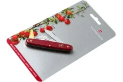 Victorinox Couteau Greffoir & Serpette 3 3.9116.B1 Rouge -Magasin De Fournitures De Couteaux VT3 9116 B1 08 victorinox